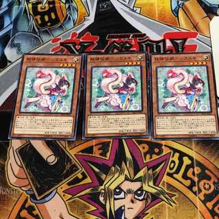 Fairy Denki - Shirayuki 3 Normal, set of 3 Tera