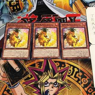 陽竜果フォンリー 2 ノーマル 3枚セット てら