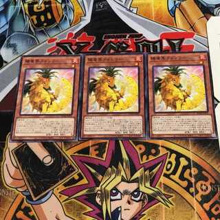 陽竜果フォンリー 9 ノーマル 3枚セット てら