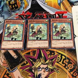 Ritual Beast Tamer Lara 8 normal, set of 3 tera