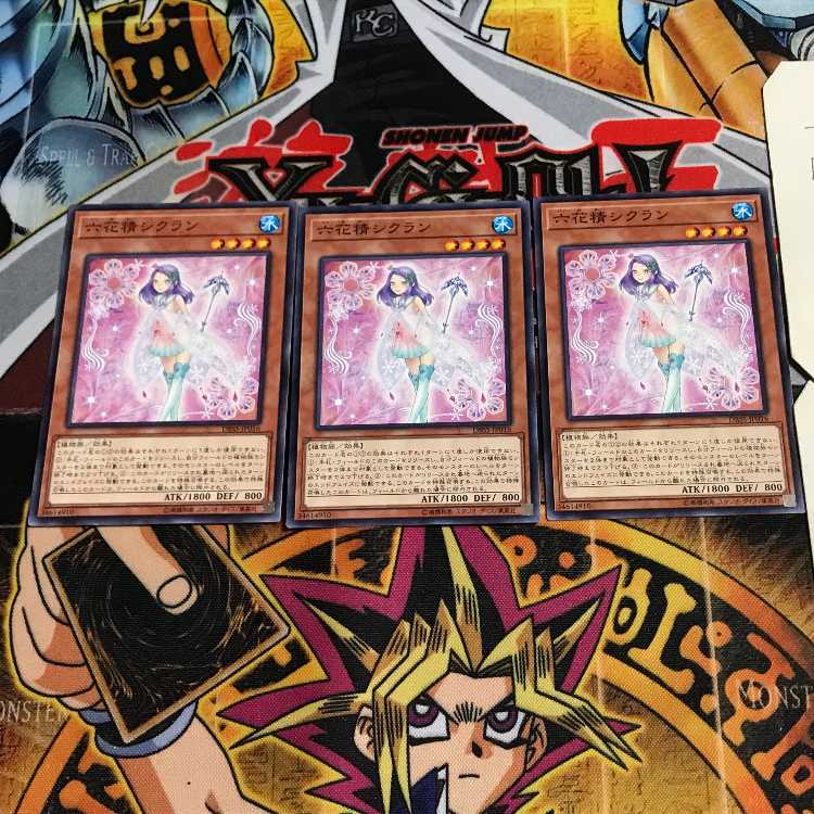 六花精シクラン 8 ノーマル 3枚セット てら