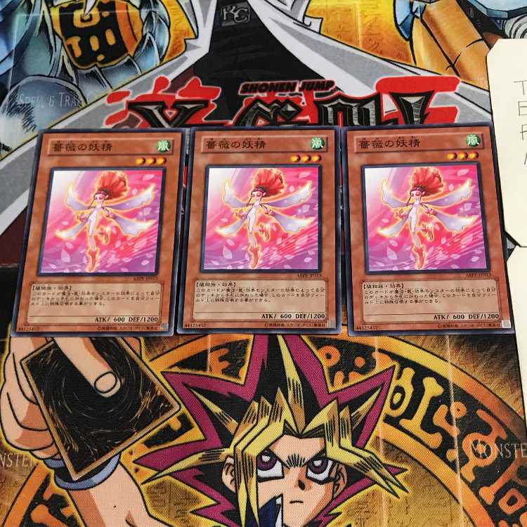 Rose Fairy 1 Normal, set of 3 Tera