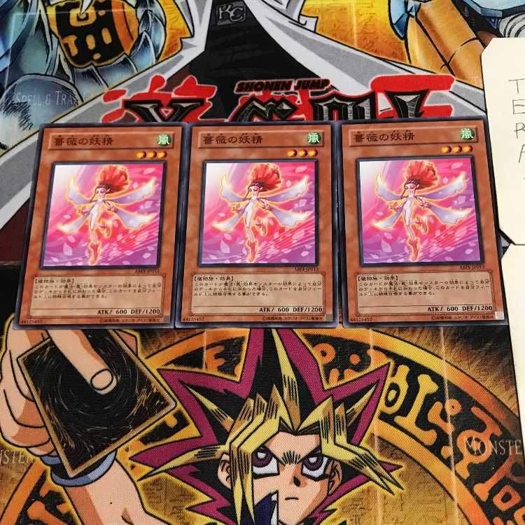 Rose Fairy 3 Normal, set of 3 Tera