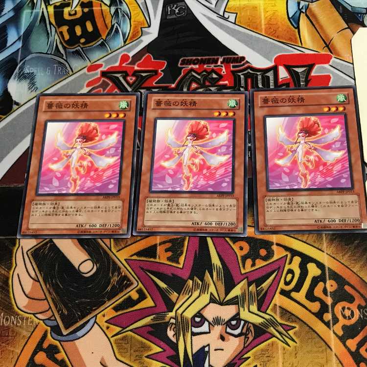 Rose Fairy 4 Normal, set of 3 Tera