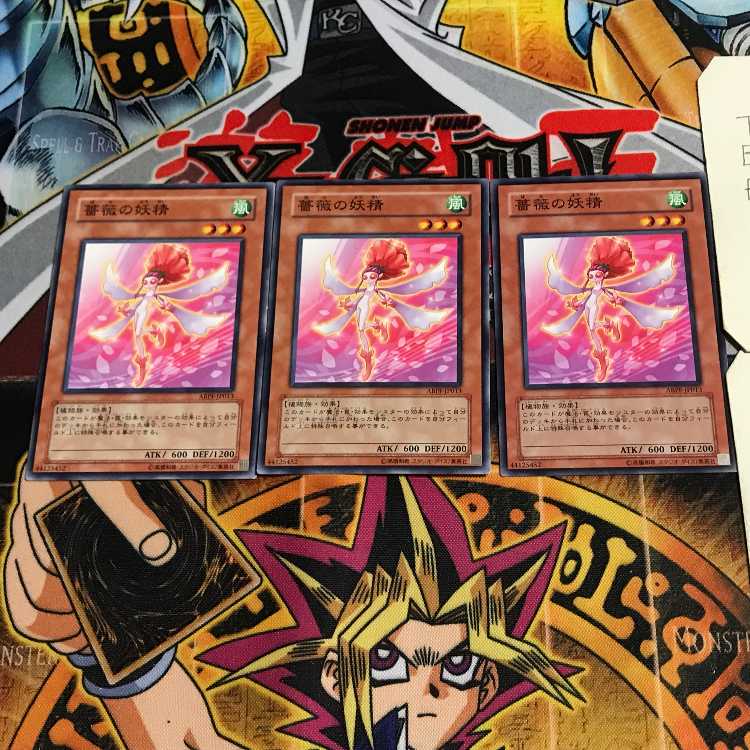 Rose Fairy 6 Normal, set of 3 Tera