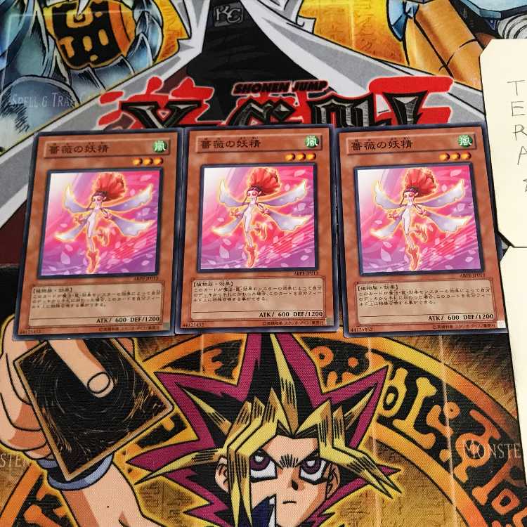 Rose Fairy 7 Normal, set of 3 Tera