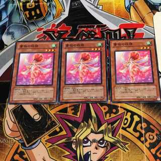 薔薇の妖精 9 ノーマル 3枚セット てら