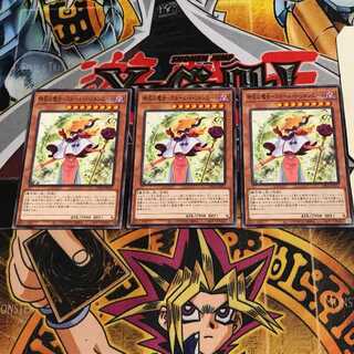 時花の魔女-フルール・ド・ソルシエール 5 ノーマル 3枚セット てら