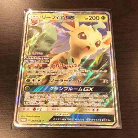 ああ様専用　ブラッキー　リーフィア