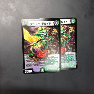 ライマードルイド　2枚