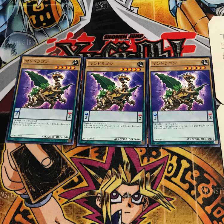 マンドラゴン 4 ノーマル 3枚セット てら