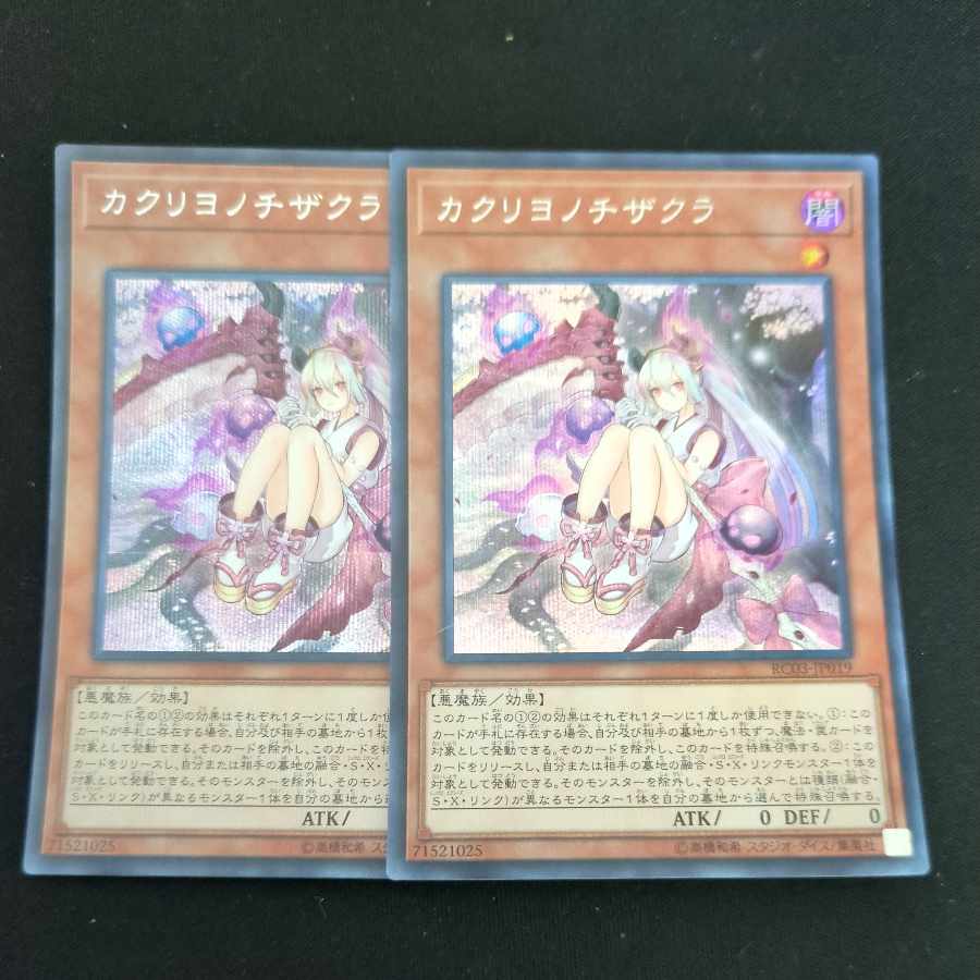 CST656 Red Blossoms from Underroot SE