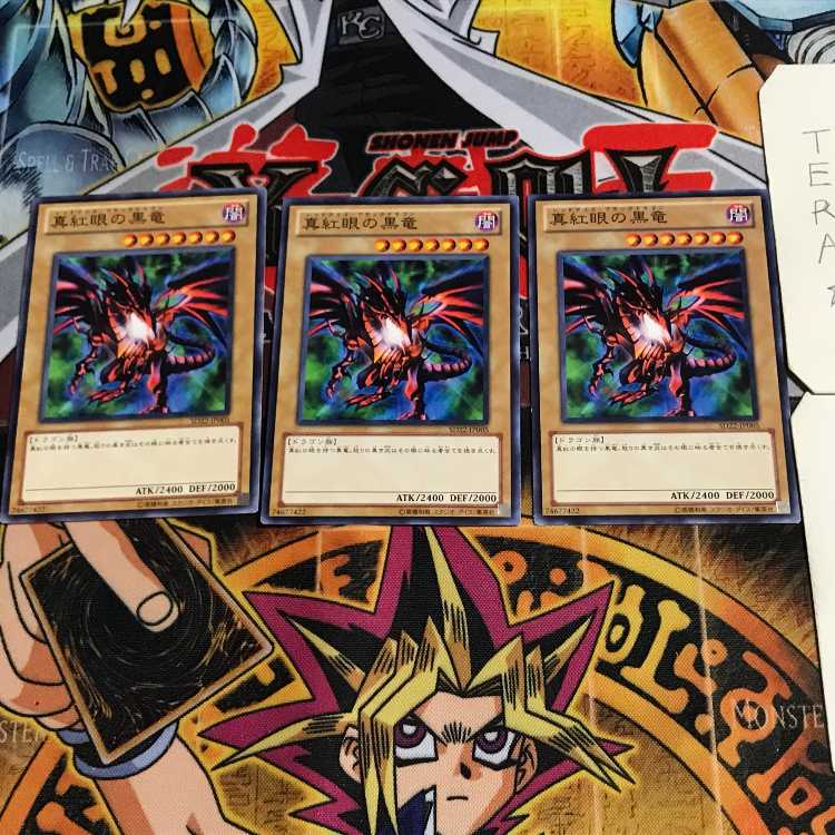 真紅眼の黒竜 3 ノーマル 3枚セット てら