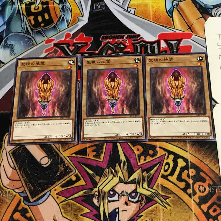 聖種の地霊 3 ノーマル 3枚セット てら