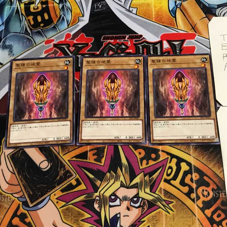 聖種の地霊 7 ノーマル 3枚セット てら