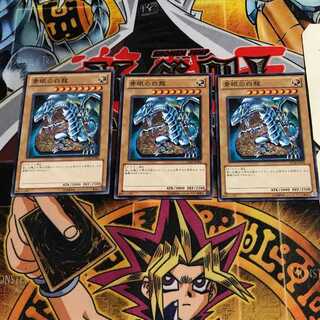 青眼の白龍 8 ノーマル 3枚セット てら