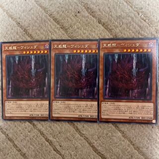 Tenwei Ryu - Vishda Rare JP016