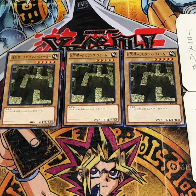 迷宮壁-ラビリンス・ウォール- 5 ノーマル 3枚セット てら