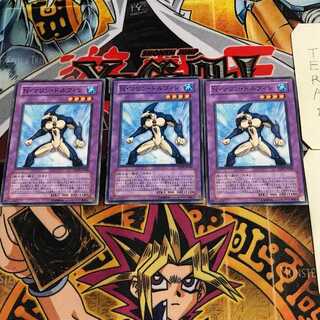 N・マリン・ドルフィン 5 ノーマル 3枚セット てら