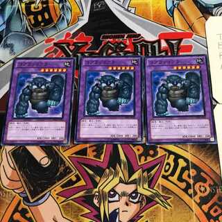 Koalo-Koala 8 Normal, set of 3 Tera