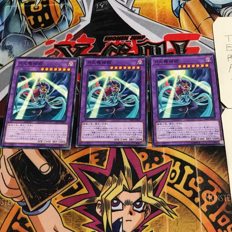 月光舞猫姫 3 ノーマル 3枚セット てら