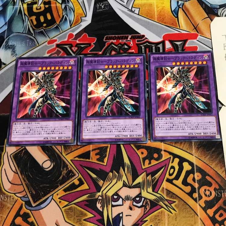 Psychic Mage Swordsman - Black Paladin 2 Normal, set of 3 Tera.