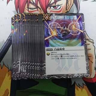 白晶防壁リバイバル前 1枚