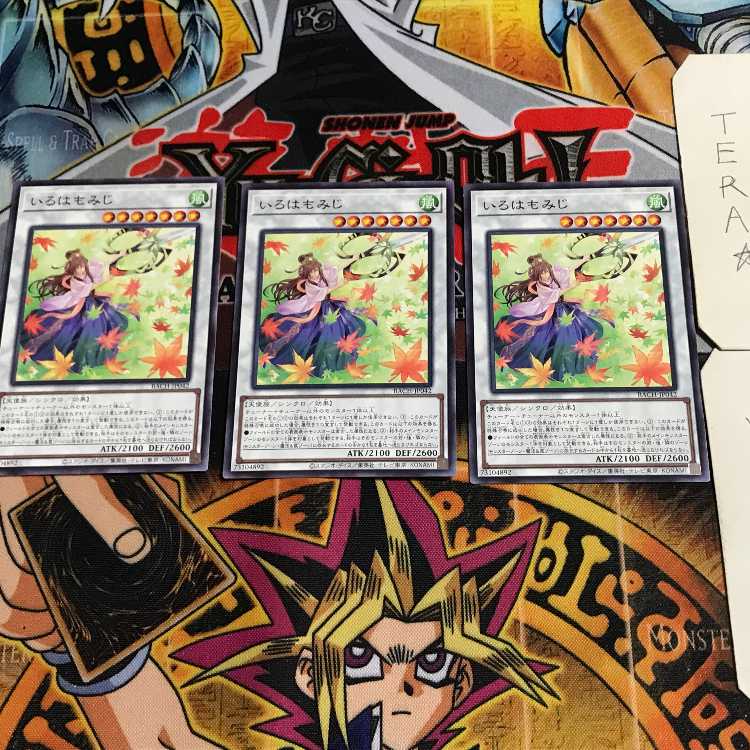 いろはもみじ 7 ノーマル 3枚セット てら