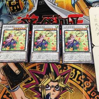 いろはもみじ 7 ノーマル 3枚セット てら