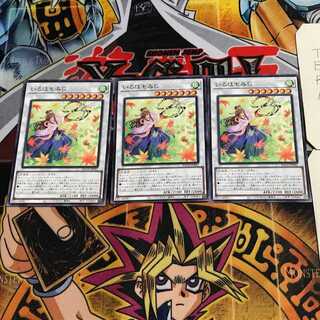 いろはもみじ 8 ノーマル 3枚セット てら