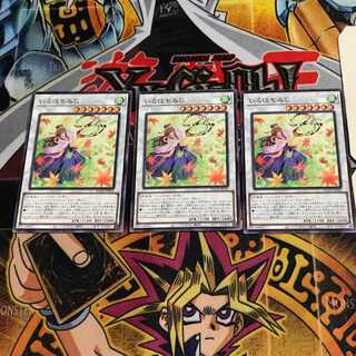 いろはもみじ 9 ノーマル 3枚セット てら