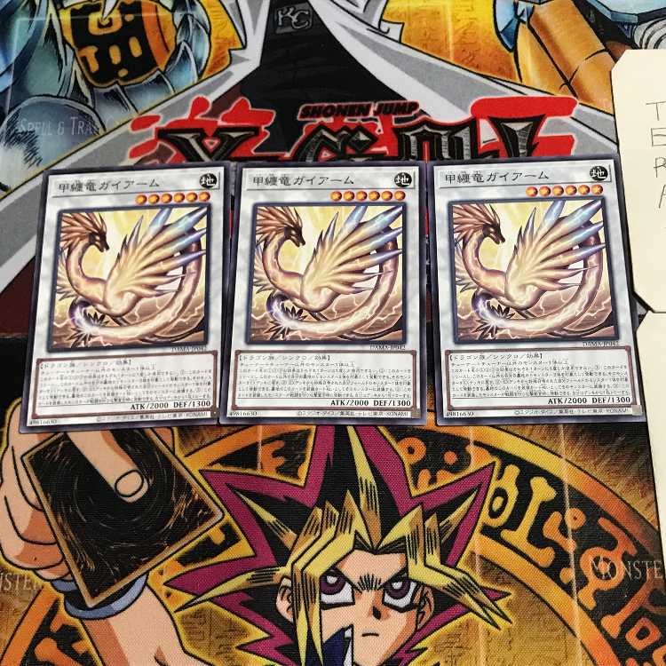 甲纏竜ガイアーム 6 ノーマル 3枚セット てら