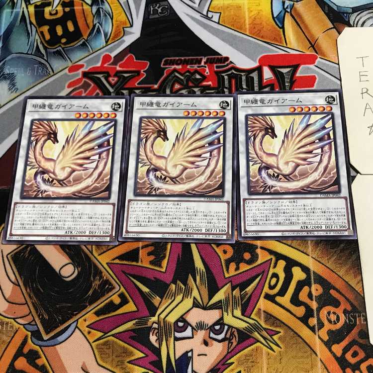 甲纏竜ガイアーム 10 ノーマル 3枚セット てら