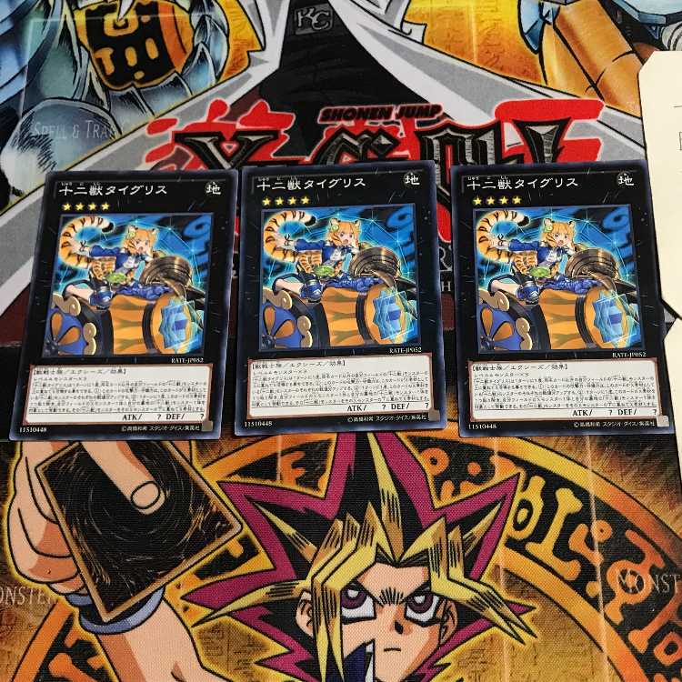 十二獣タイグリス 6 ノーマル 3枚セット てら