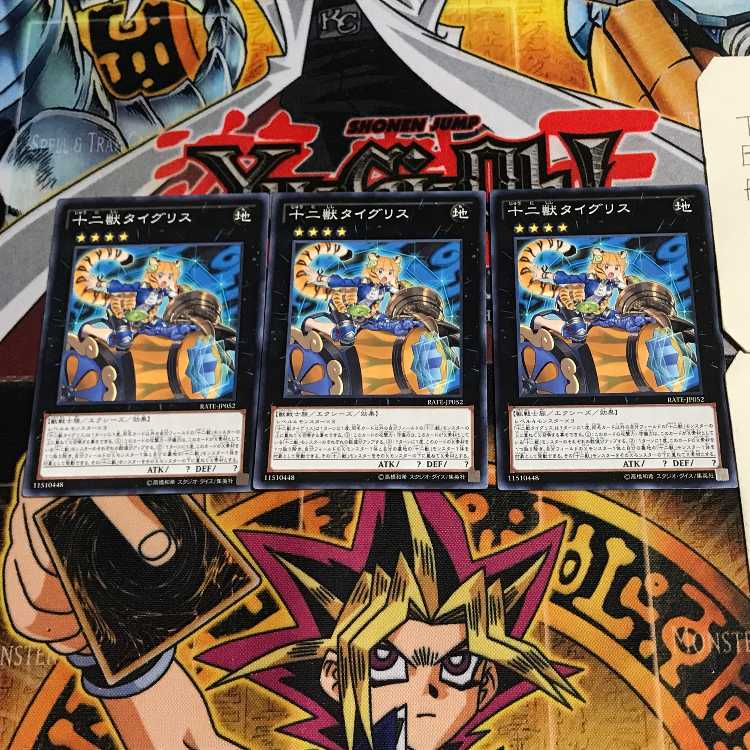 十二獣タイグリス 8 ノーマル 3枚セット てら