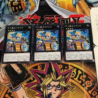 十二獣タイグリス 10 ノーマル 3枚セット てら