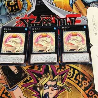 Toadally Awesome 3 Normal Set of 3 Tera