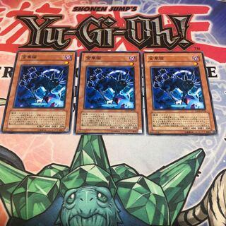 【もふもふ】金華猫