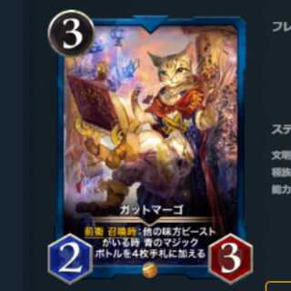 2枚セット　ガットマーゴ