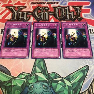 【もふもふ】DNA移植手術