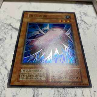 Yu-Gi-Oh! Early Cocoon of Evolution Super