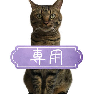 さな様　専用　激アツオリパ10口