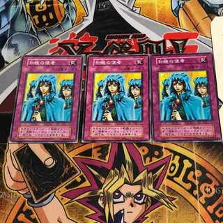 Waboku 8 Early Normal Set of 3 Tera