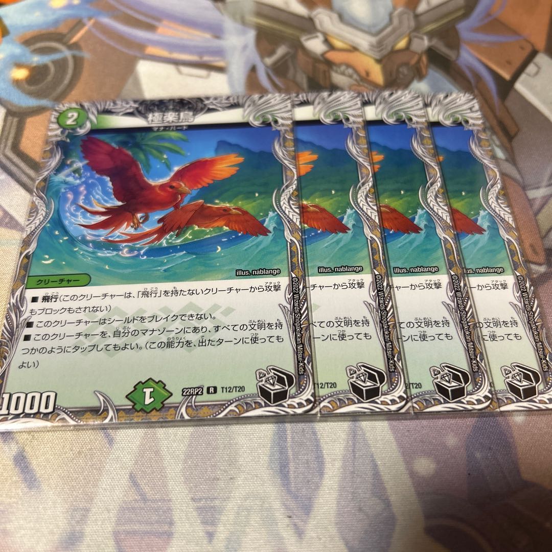 Birds of Paradise (Black Treasure) R T12/T20