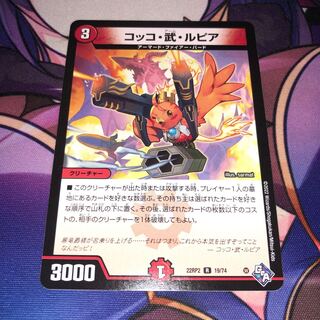 Cocco Bu Lupia R 19/74