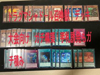 遊戯王　ドラグマ　シャドール　召喚獣　デッキ　大会向け　ガチ構築