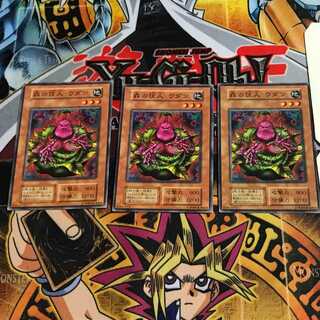 森の住人 ウダン 1 初期 ノーマル 3枚セット てら