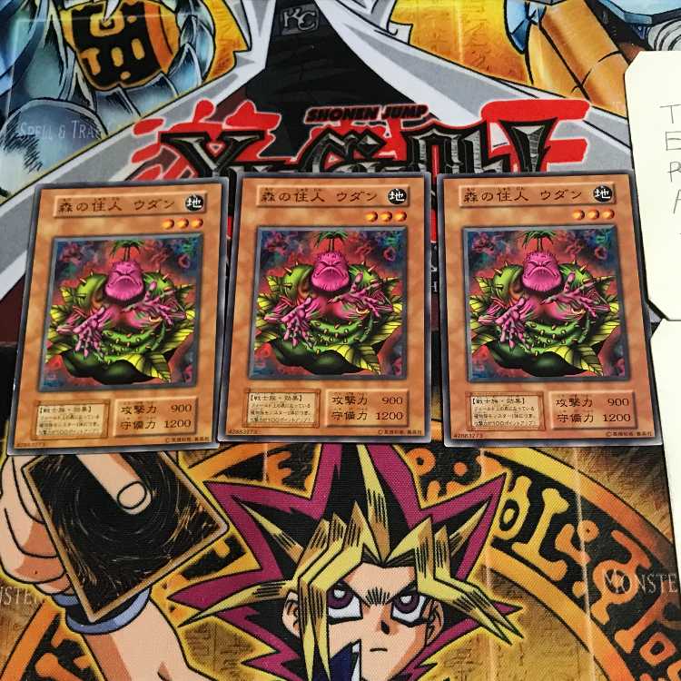 森の住人 ウダン 6 初期 ノーマル 3枚セット てら