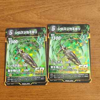 SR シロスジカミキリ