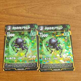 SR クロカタゾウムシ